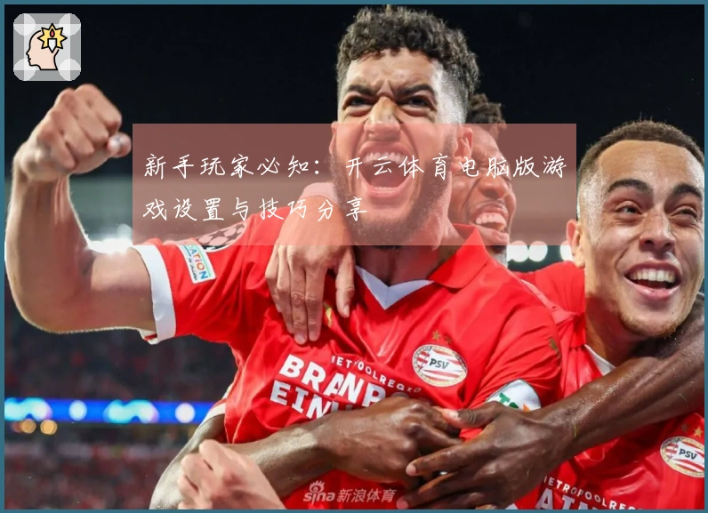 新手玩家必知：开云体育电脑版游戏设置与技巧分享