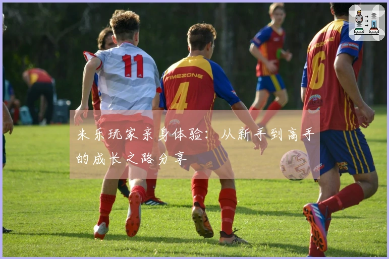 米乐玩家亲身体验：从新手到高手的成长之路分享