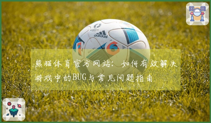 熊猫体育官方网站：如何有效解决游戏中的BUG与常见问题指南