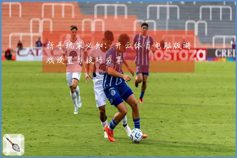 新手玩家必知：开云体育电脑版游戏设置与技巧分享