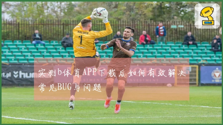 实测b体育APP下载后如何有效解决常见BUG与问题