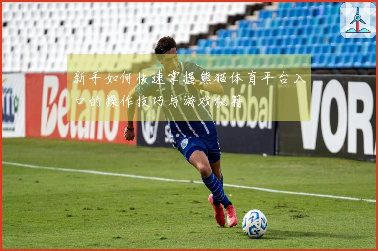 新手如何快速掌握熊猫体育平台入口的操作技巧与游戏秘籍